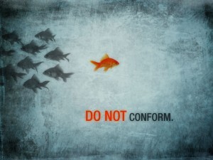 do-not-conform-fish-300x225
